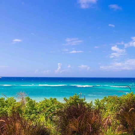 Beach Dreams At Seacastles Lägenhet Montego Bay Exteriör bild