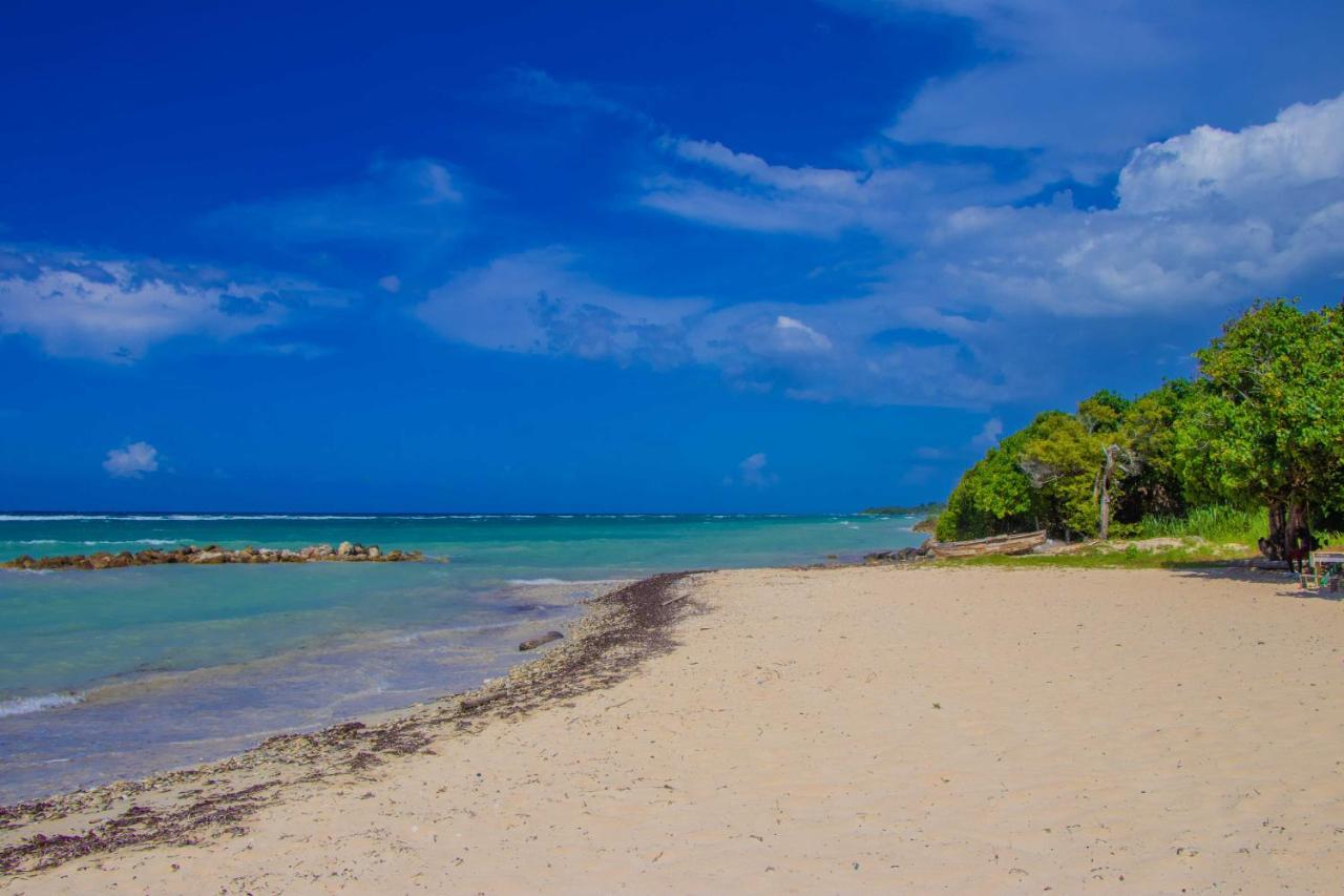 Beach Dreams At Seacastles Lägenhet Montego Bay Exteriör bild