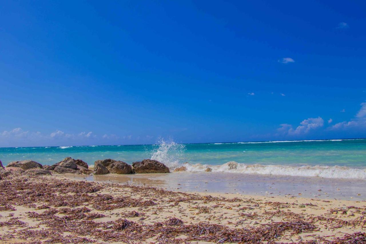 Beach Dreams At Seacastles Lägenhet Montego Bay Exteriör bild